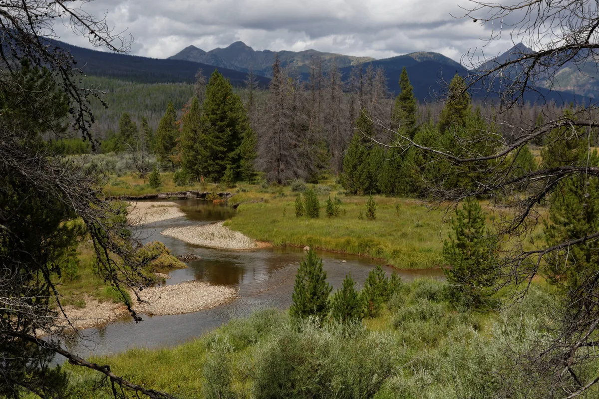 The Colorado River winds through a broad, grassy meadow in Kawuneeche Valley, with gravel bars, willow thickets, and scattered evergreens in the foreground. Dark mountain slopes and layered clouds rise behind the valley, giving the scene a cool, late-season feel.