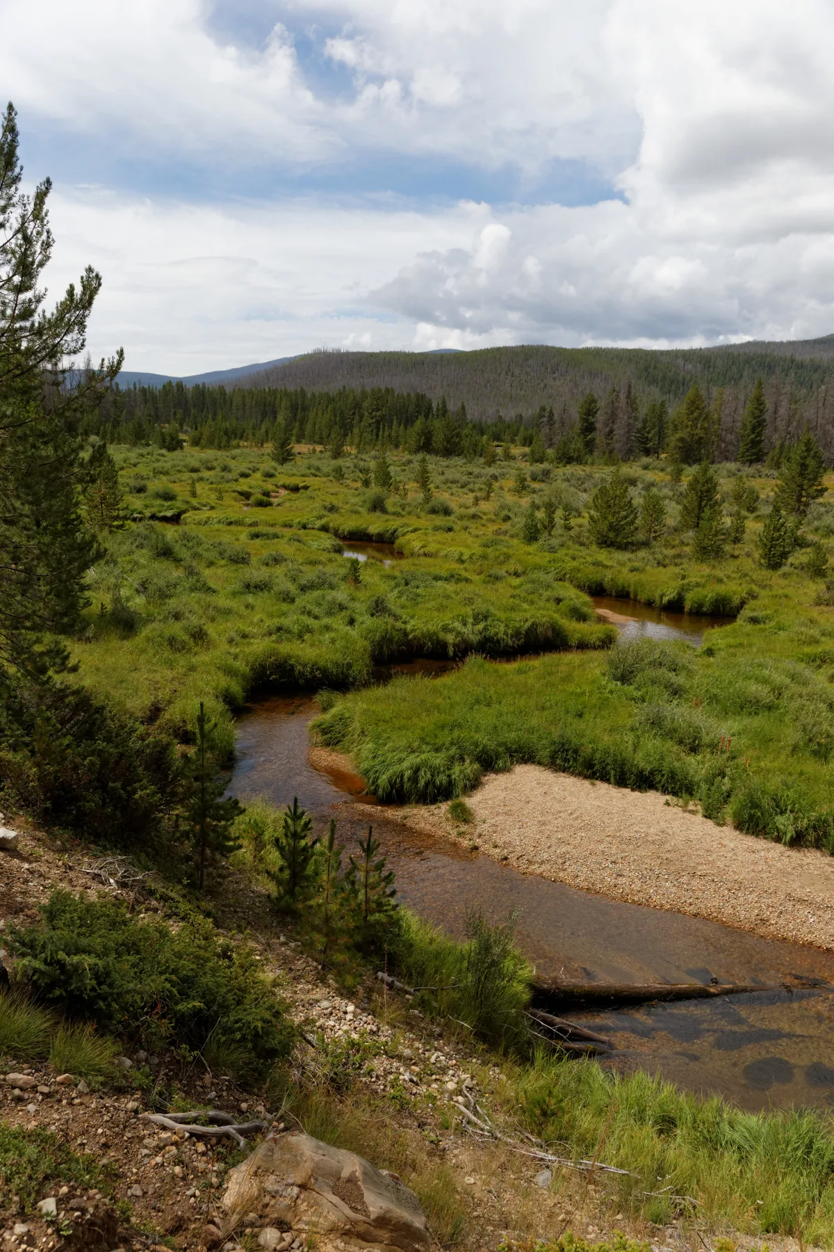 A winding, shallow stream cuts through bright green willow wetlands in Kawuneeche Valley, with scattered conifers and low hills stretching across the background. Puffy clouds fill the sky above the broad alpine meadow, and a sandy gravel bar curves along the river in the foreground.