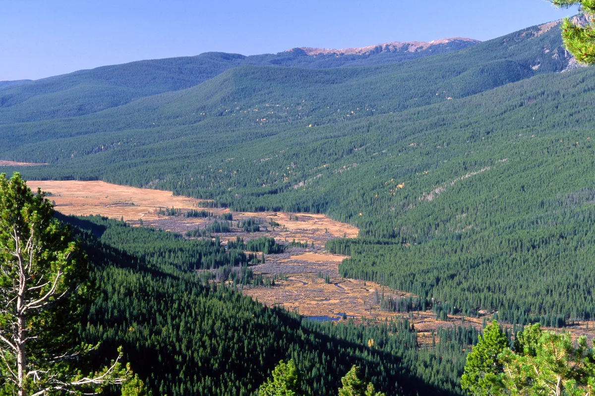 A wide view looks down Kawuneeche Valley, where a pale golden ribbon of wet meadows and the Colorado River winds between dense dark-green forests and rolling mountain slopes. Late-day light warms the fall color in the valley floor, with a few bright aspens scattered among the evergreens.