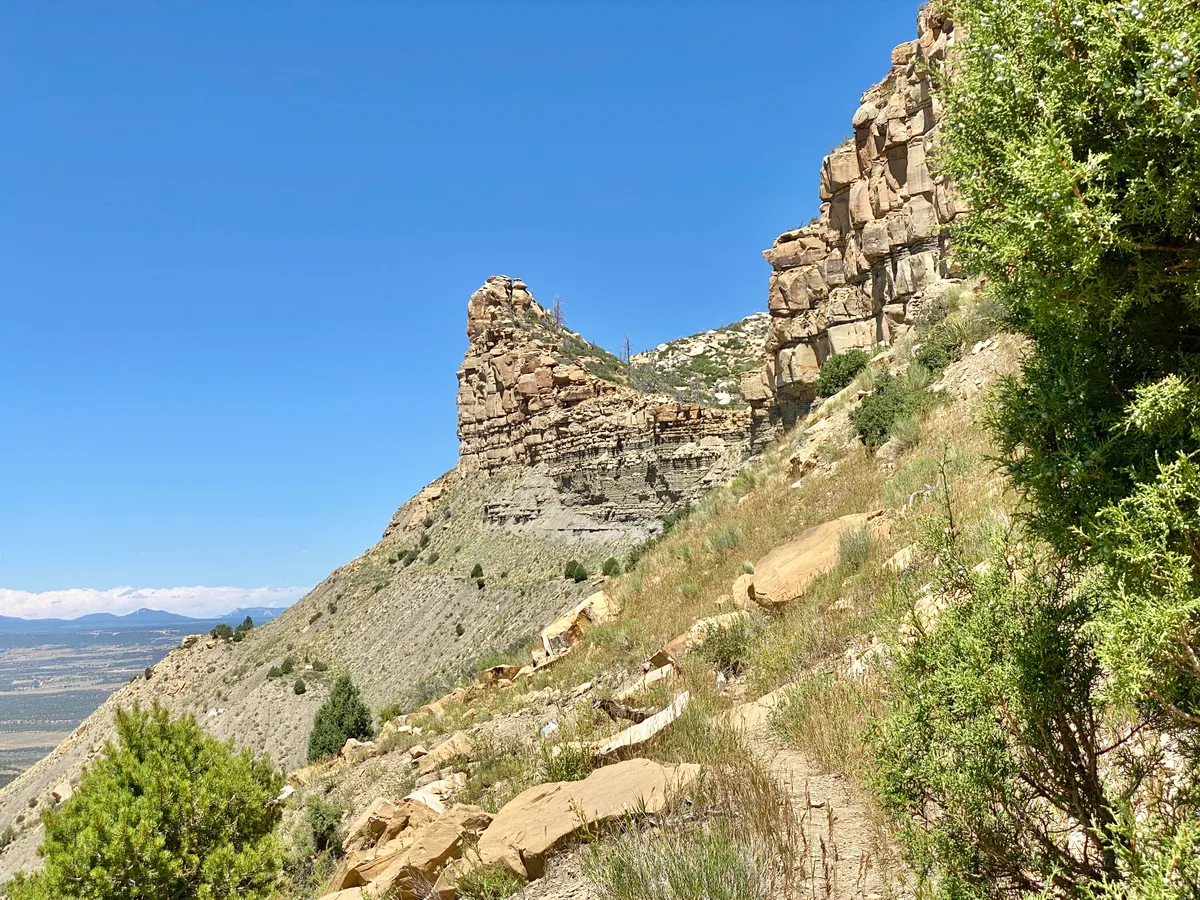 Steep sandstone cliffs rise above a narrow, grassy ridge with scattered pinyon-juniper shrubs, while the Montezuma Valley stretches far below at left. Bright midday light and a clear blue sky sharpen the layered rock face and rugged desert slope.