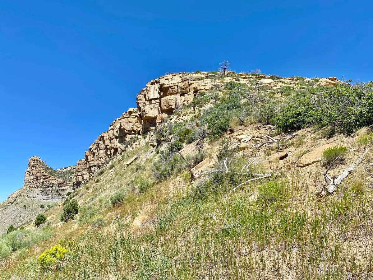 Sunlit tan sandstone cliffs rise above a steep, grassy desert slope dotted with scrub and a few pale dead branches, all under a cloudless deep blue sky. The wide view emphasizes the rugged mesa edge and open, arid landscape.