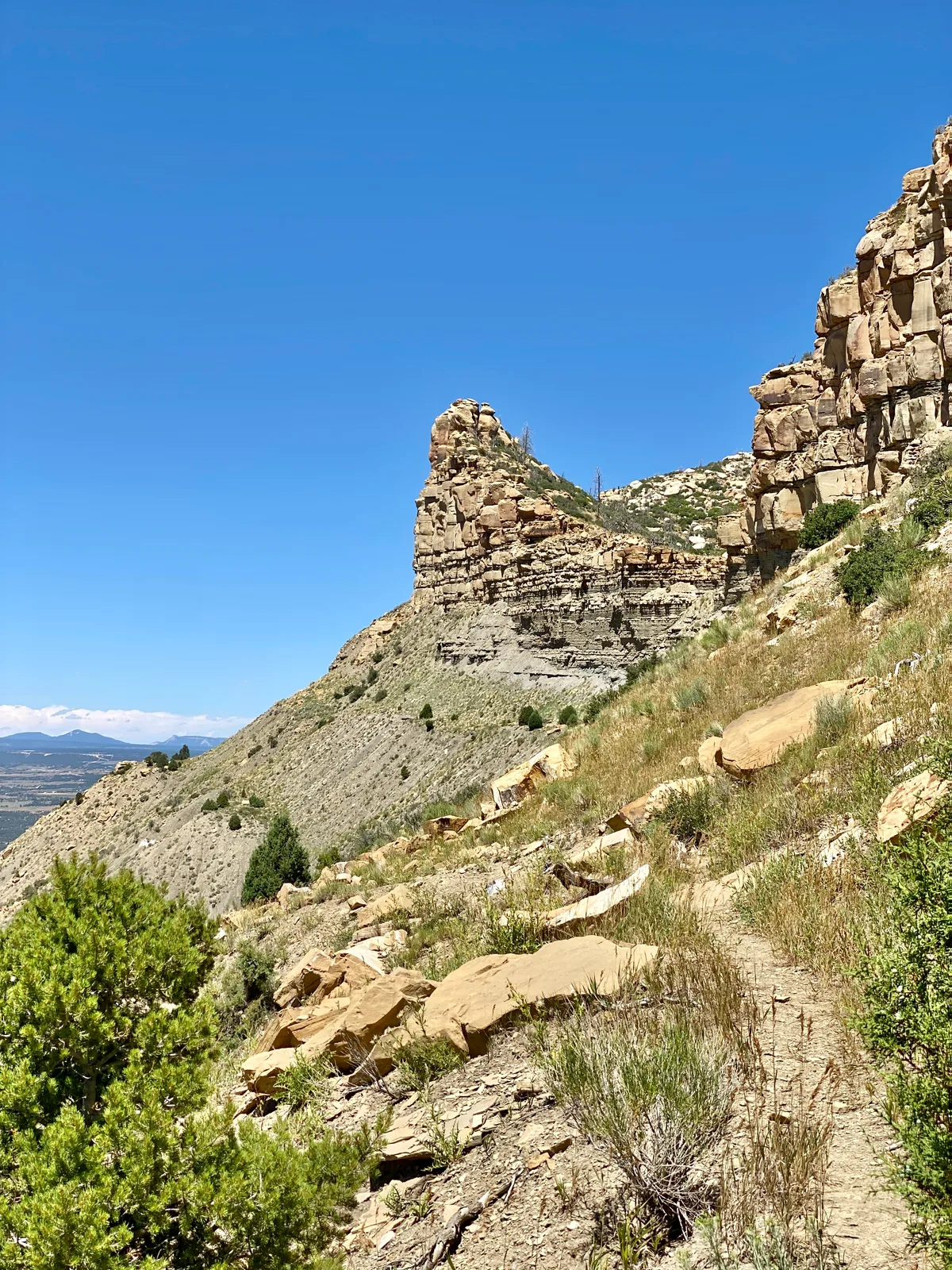A narrow dirt path winds through sunlit grasses and scattered rocks along a steep mesa slope, with layered tan cliff faces rising sharply against a clear blue sky. In the distance, the ridge drops toward a broad valley, emphasizing the dramatic edge of Knife Edge Road.