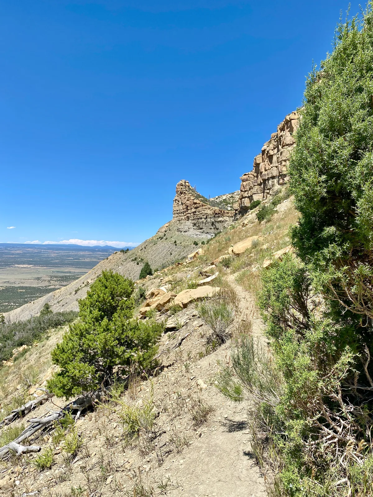 A narrow dirt trail hugs the steep mesa edge, lined with juniper and scrub, while layered tan rock cliffs rise above the valley. Beyond the ridge, the wide Montezuma Valley stretches under a clear blue sky in bright midday light.