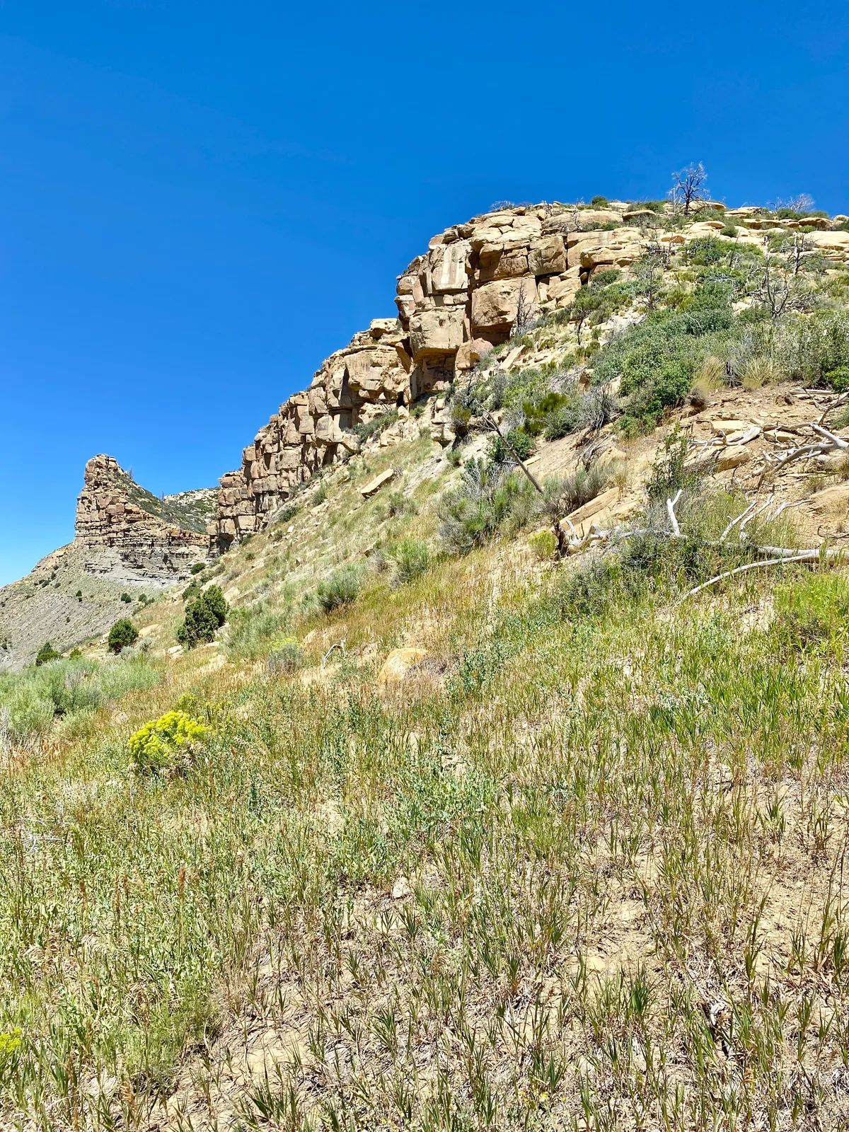 Steep tan sandstone cliffs rise above a grassy, scrub-covered slope, with a sharp rocky spire standing out on the left. Bright midday light and a deep blue sky make the desert plateau look clear and dry.