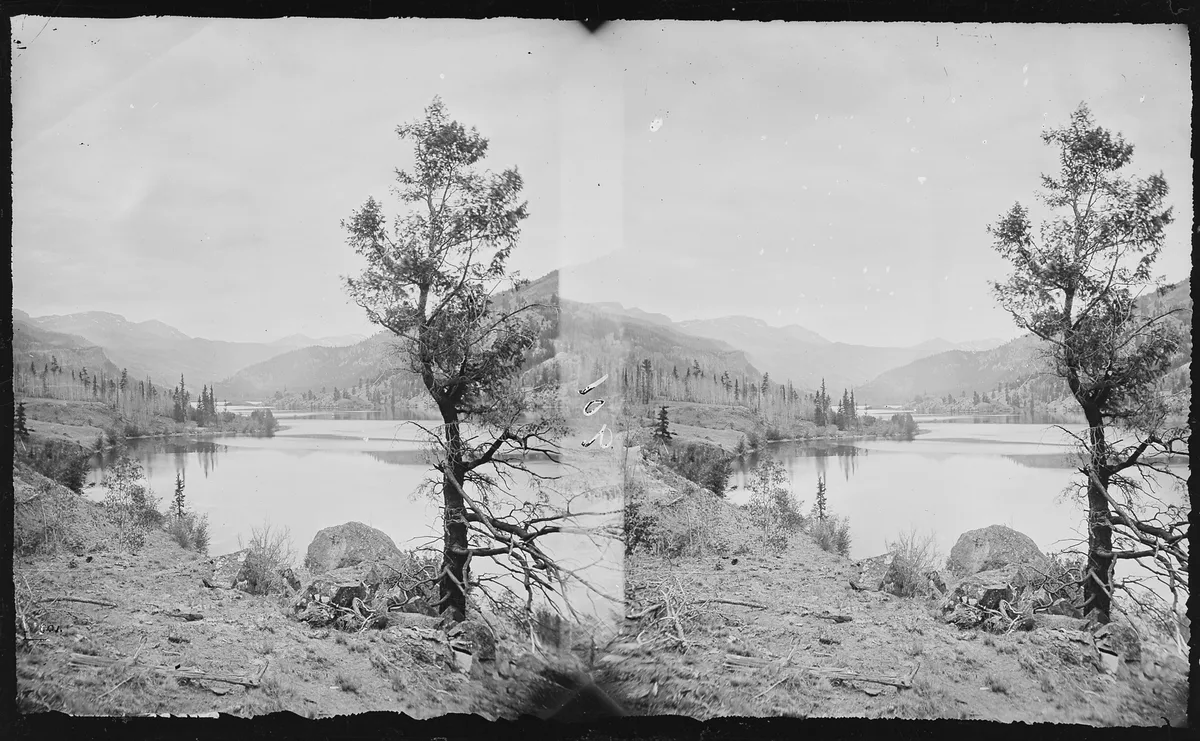 Wide black-and-white view of Lake San Cristobal, with a calm lake stretching into a mountain valley and mirrored in the still water. A sparse foreground tree and rocky shoreline frame the scene, while layered ridgelines fade into the distance under a bright sky.