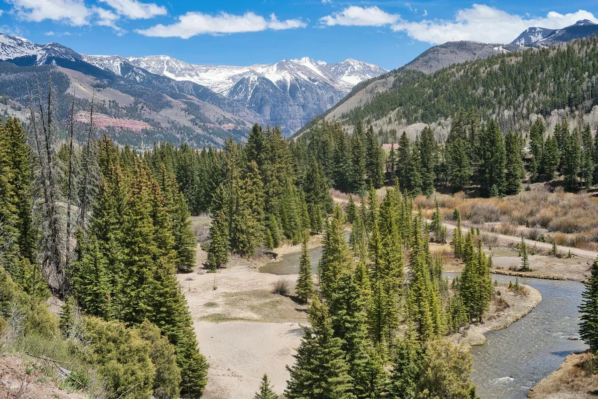 A winding dirt road and a broad river bend cut through a valley of dark green evergreens and sparse autumn brush, with snow-streaked mountains rising under a bright blue sky. The scene feels crisp and open, with layered ridgelines and a few bare trees adding contrast in the foreground.