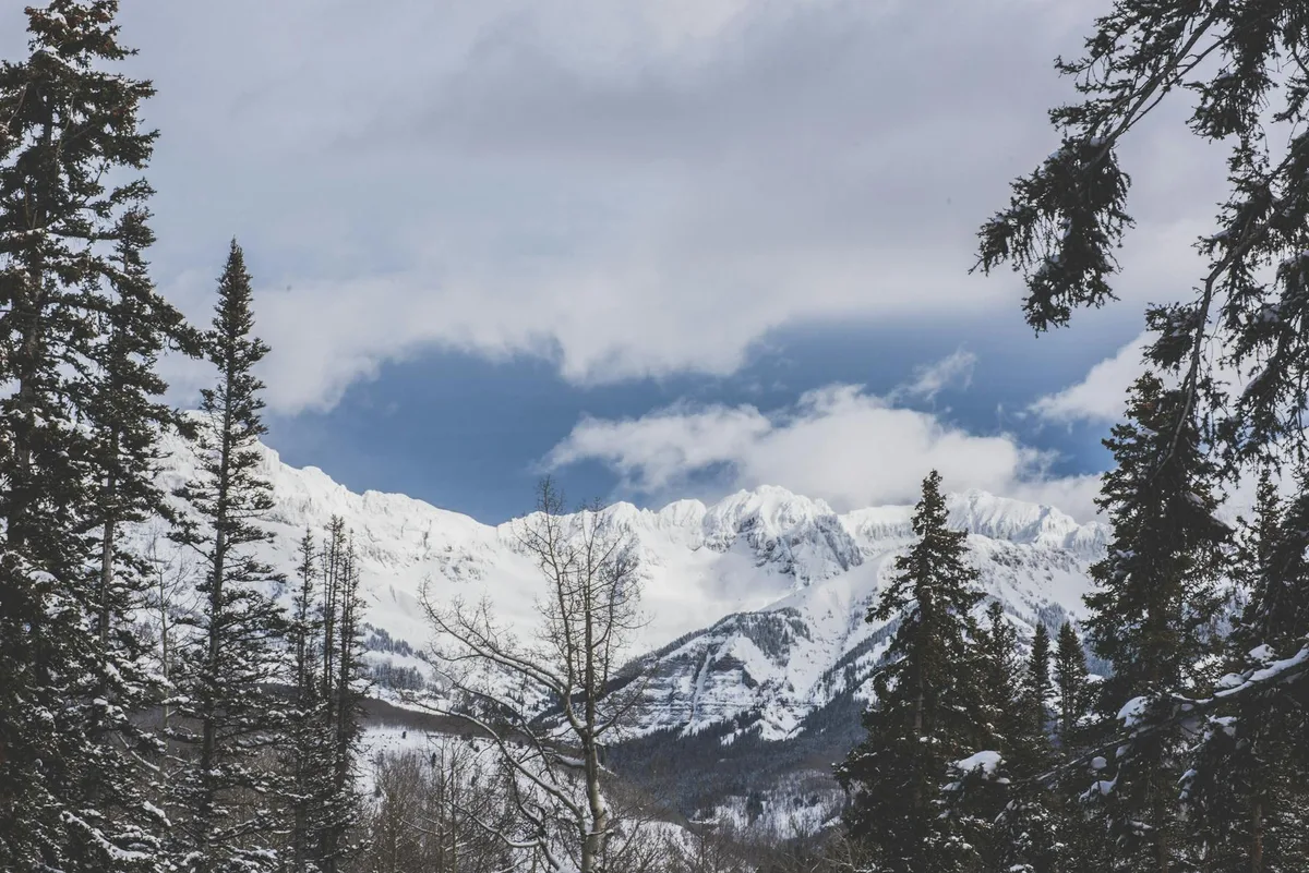 Snow-draped mountain peaks rise above a dark evergreen forest, with a bare tree centered in the foreground and low clouds hanging under a pale winter sky. The scene feels cold and crisp, with the white ridges sharply contrasted against the deep green trees.