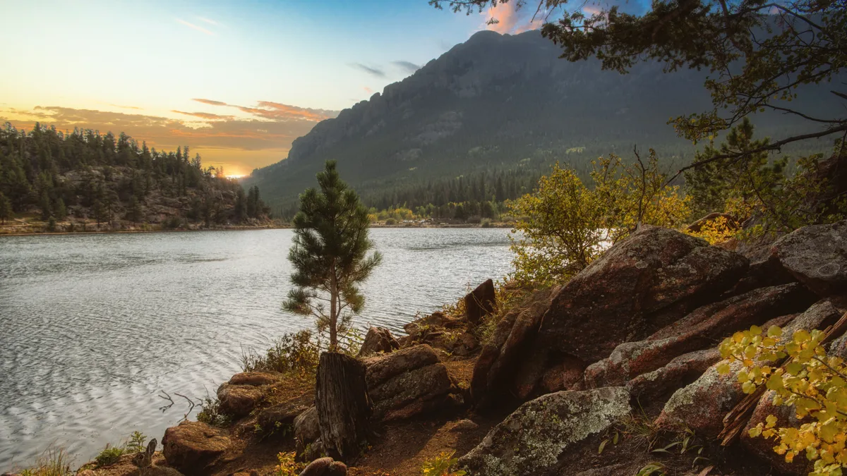 Lily Lake