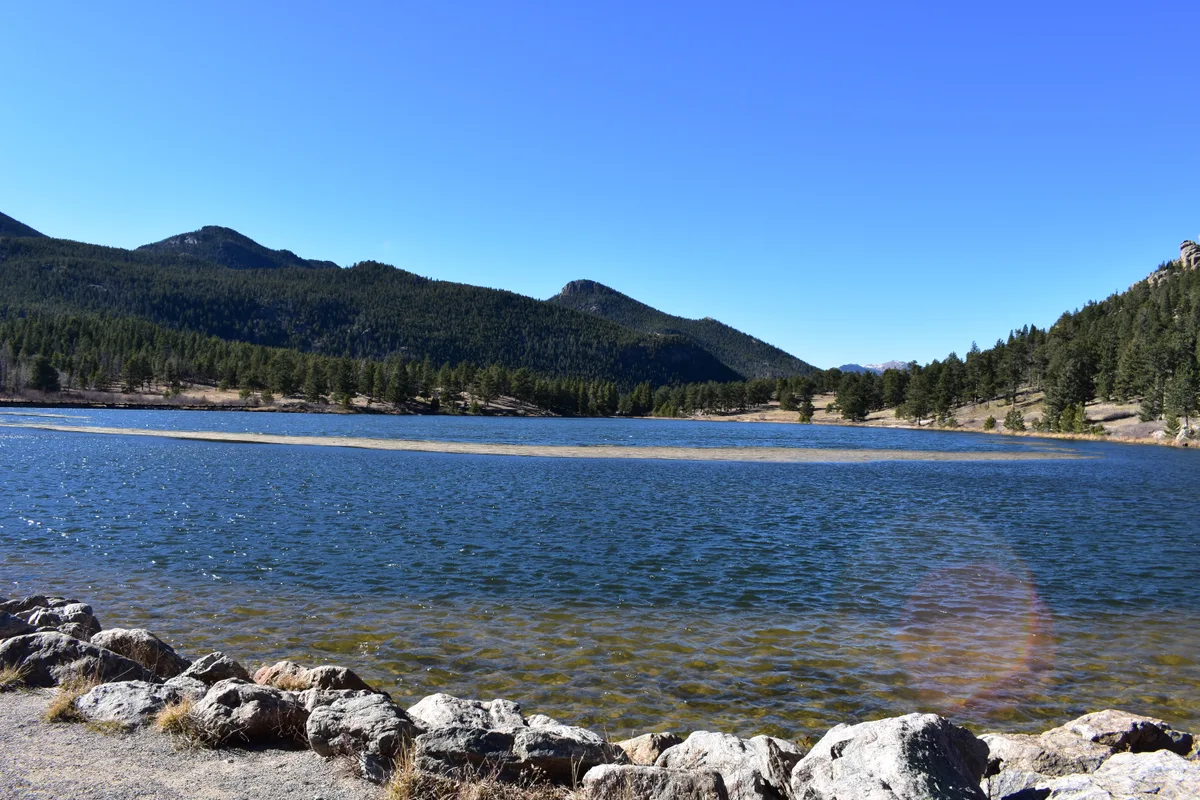 Clear blue mountain lake with a rocky shoreline in the foreground, a thin band of lily pads stretching across the water, and dark pine-covered slopes rising behind it under a bright, cloudless sky.