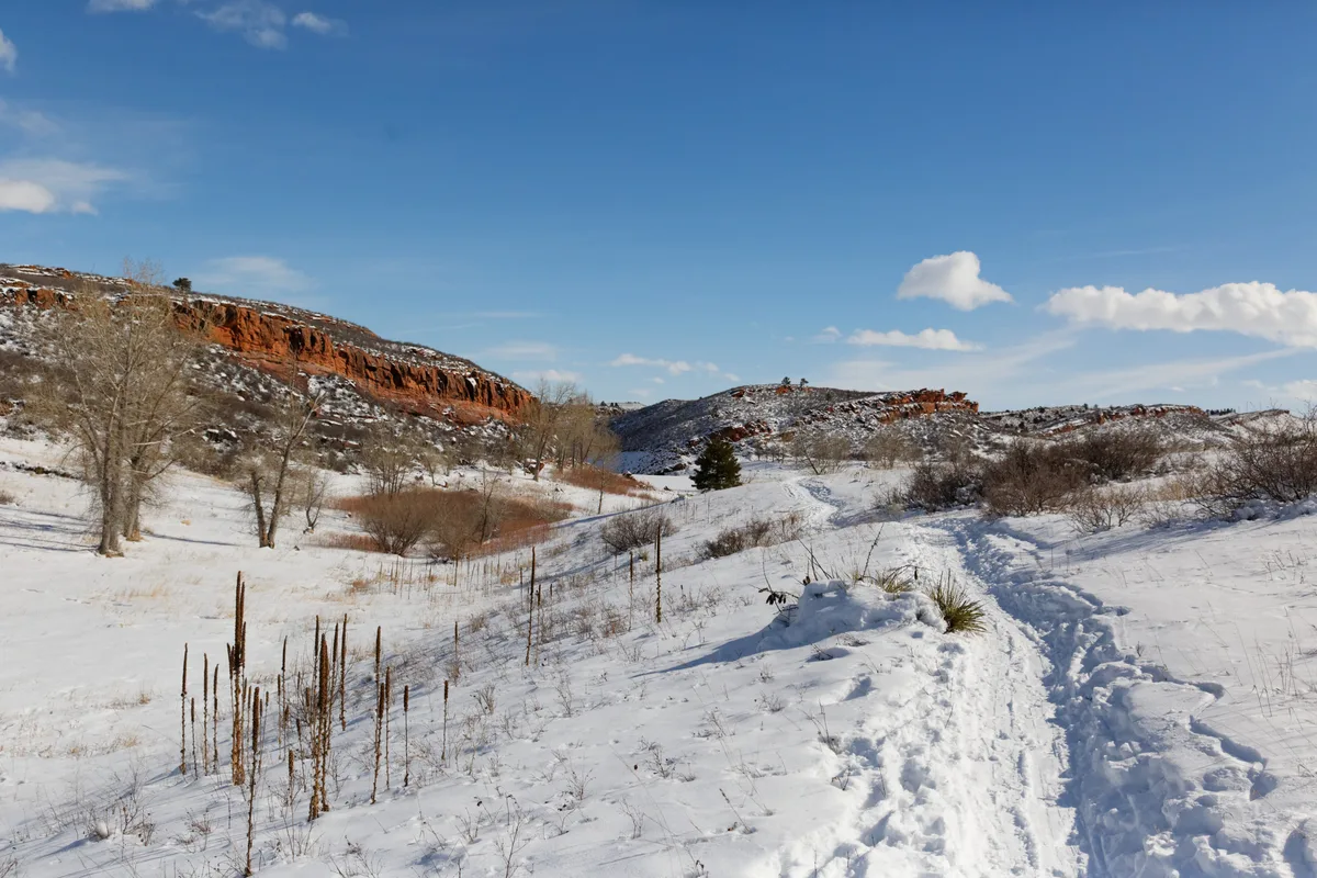 Snow-covered foothills and a narrow trail lead through a valley toward red sandstone hogbacks under a clear blue sky. Bare trees, windblown grasses, and patches of exposed rock add texture to the winter landscape.
