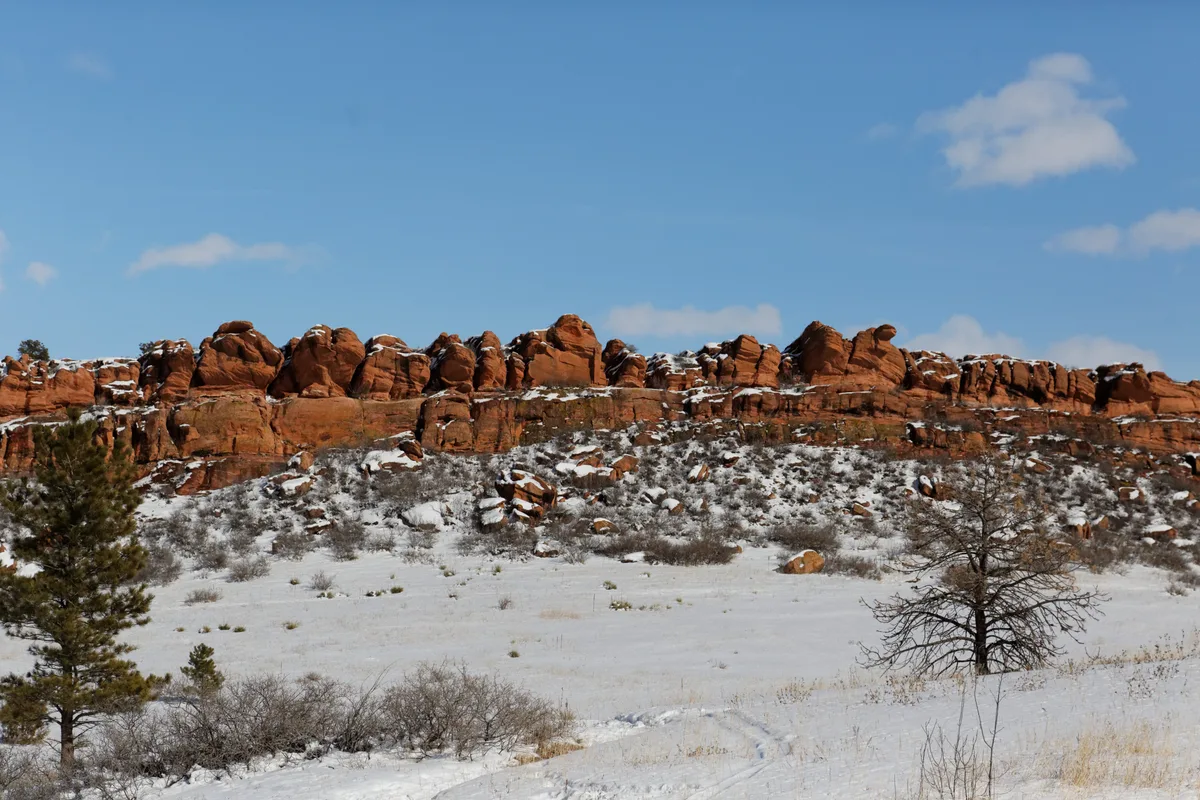 Snow blankets the open grassland below a line of rust-red sandstone hogbacks, with scattered shrubs and a lone tree in the foreground. A clear blue sky with a few small clouds brightens the winter landscape.