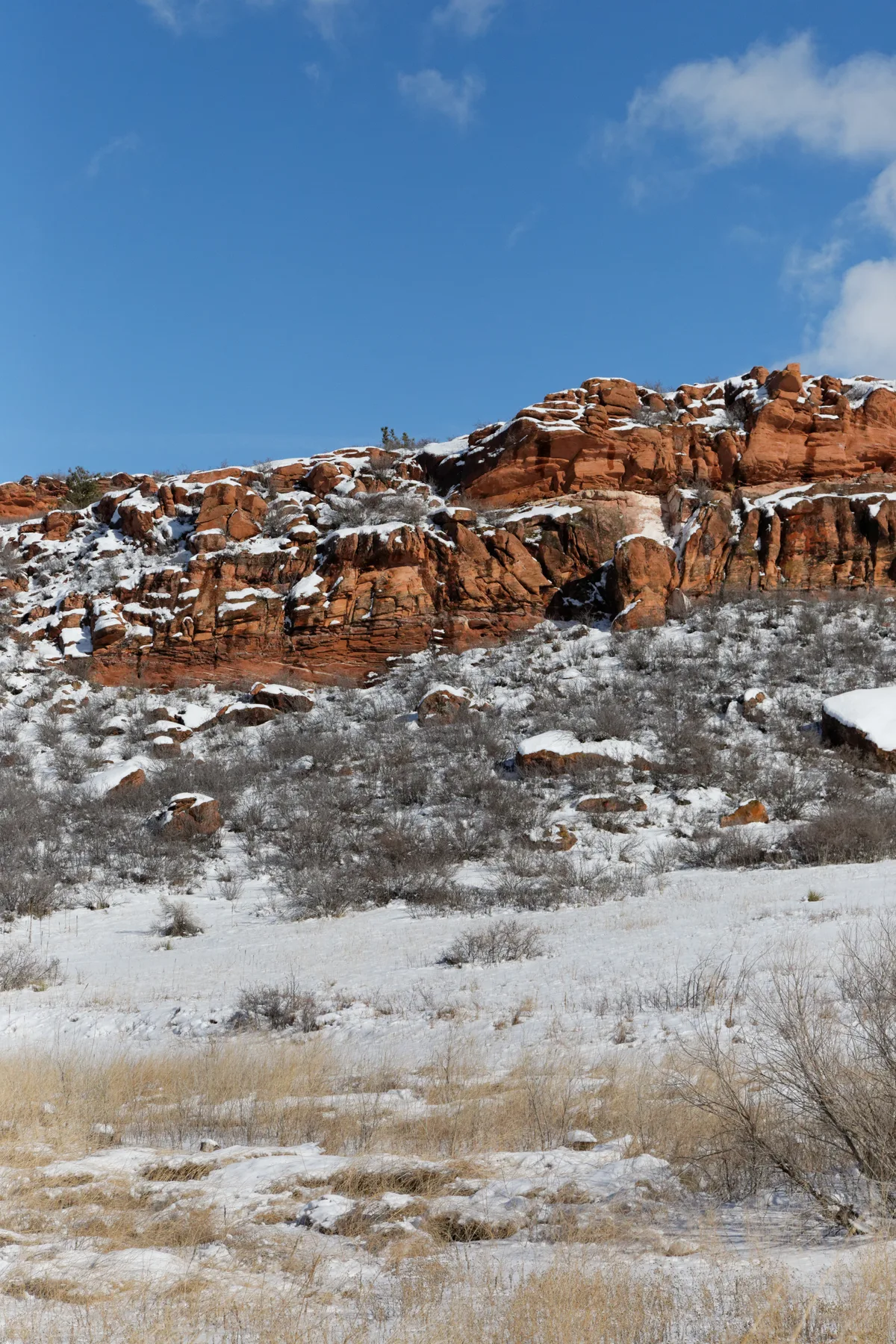 Snow patches dust red sandstone hogbacks and boulders in Lory State Park, with pale winter grass and leafless shrubs in the foreground. A deep blue sky with a few clouds fills the upper half of the frame, making the rocky ridge stand out sharply in bright daylight.