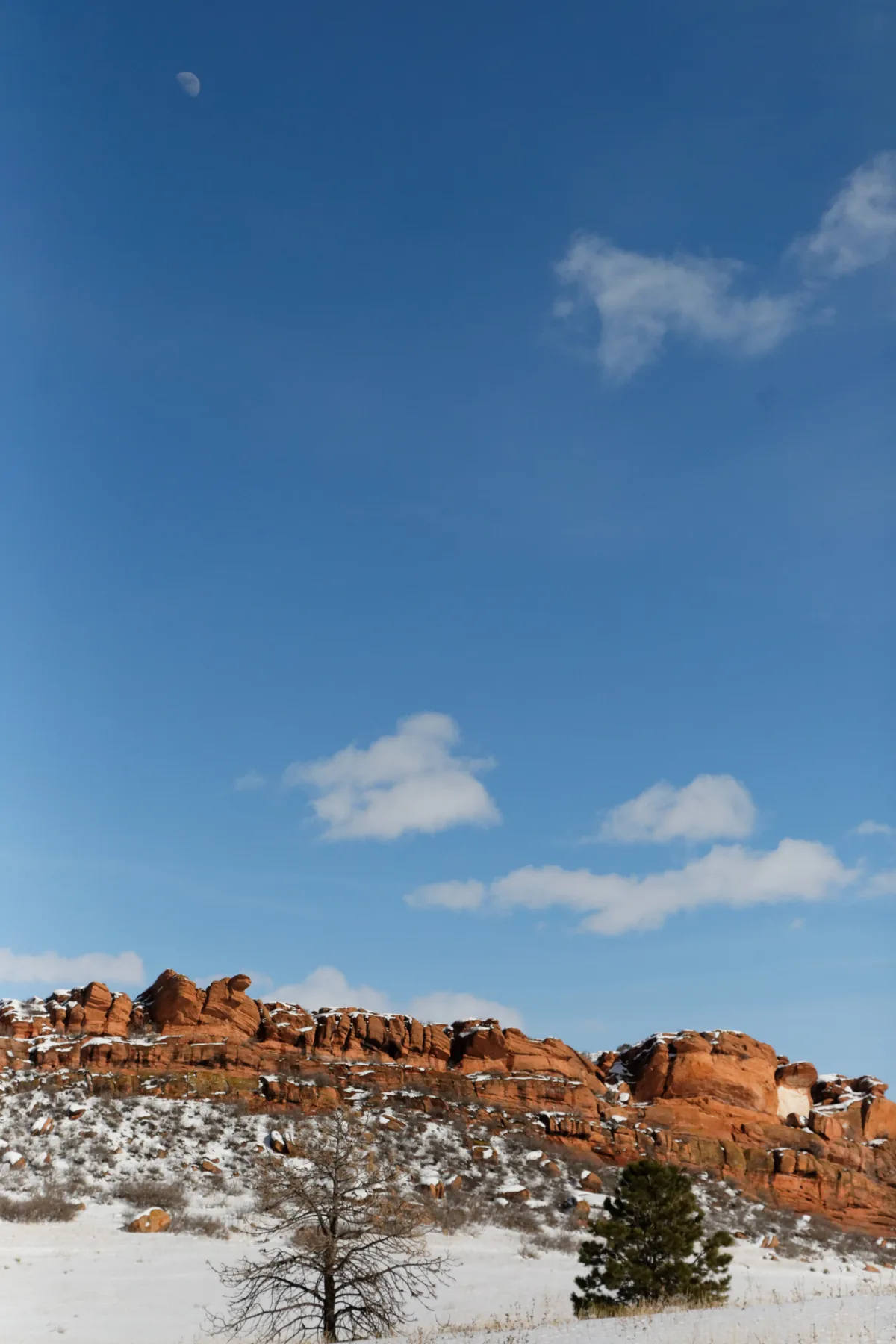 Red sandstone hogbacks rise above a snowy foothill slope, with a leafless tree and a small evergreen in the foreground. A deep blue sky with scattered white clouds and the pale moon gives the winter scene a crisp, open feel.