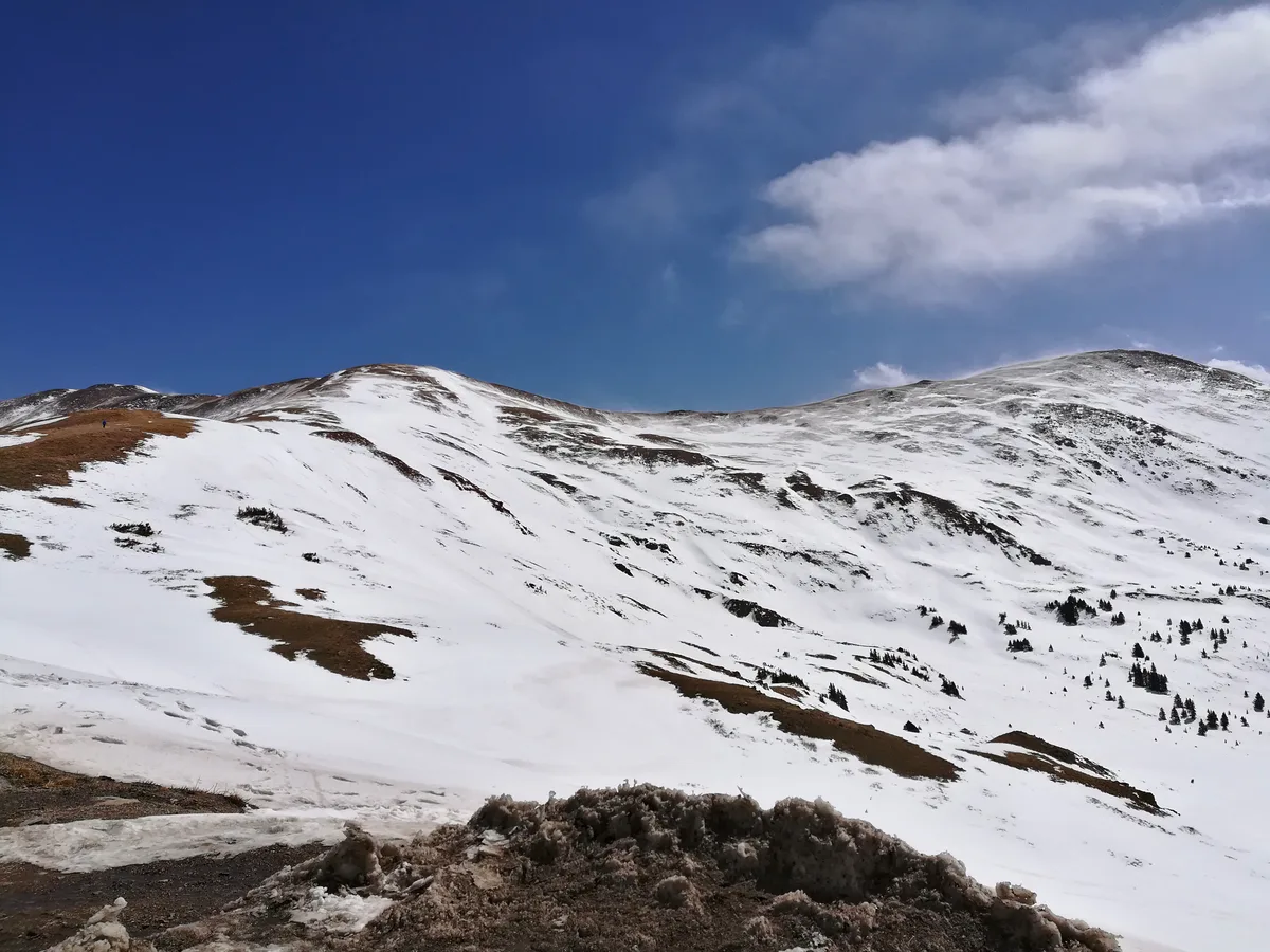 Snow-covered alpine ridges roll across the Continental Divide under a deep blue sky, with patches of exposed tundra and scattered dark evergreens breaking up the white slopes. Wind-packed snow and icy crust fill the foreground, emphasizing the high, exposed pass.