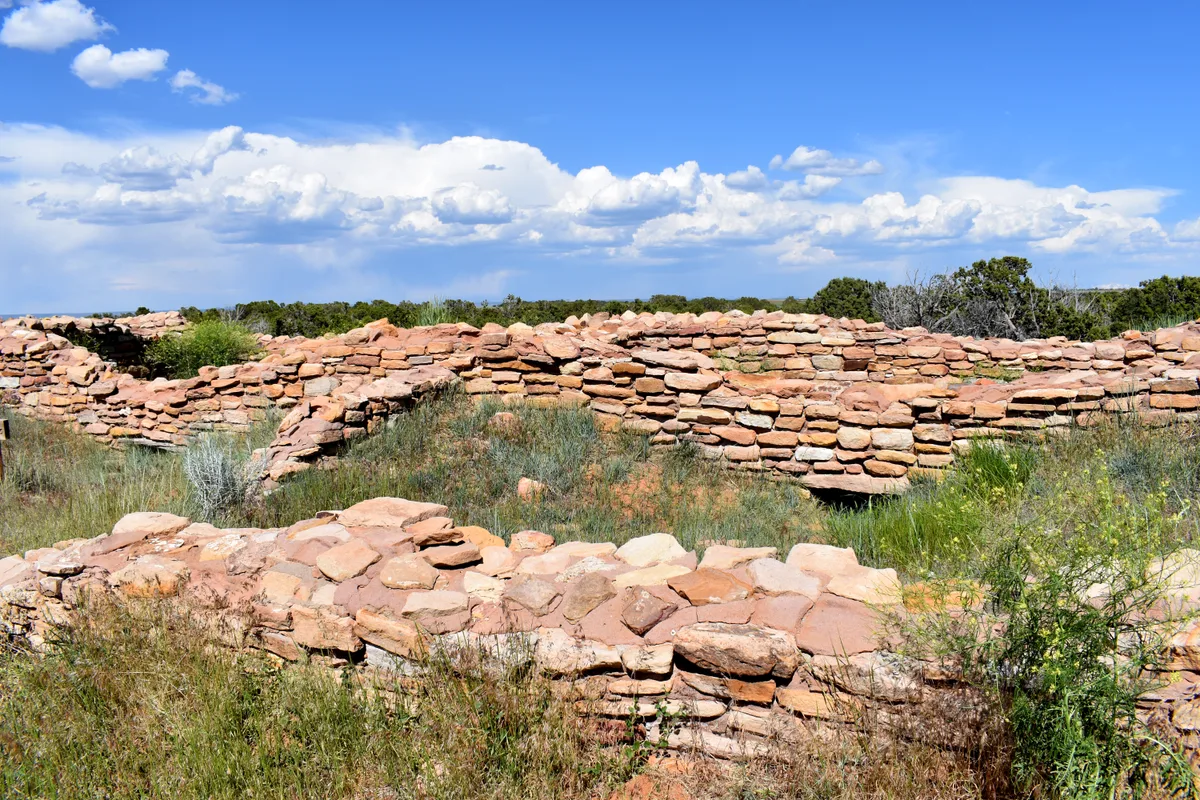 Low stone walls of the Lowry Pueblo ruin stretch across a sagebrush plain, with grasses and shrubs growing through the partially excavated rooms. Bright blue sky and puffy white clouds fill the background, giving the ancient masonry a sunlit, open feel.