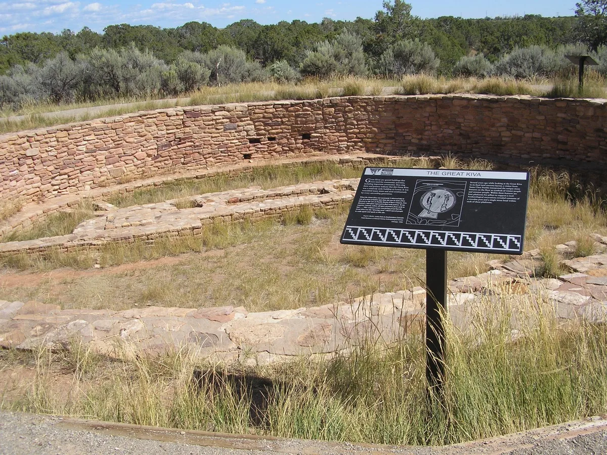 Stone walls outline a circular great kiva at Lowry Pueblo, with low excavated masonry and patches of dry grass inside the basin. An informational sign stands in the foreground, while sagebrush and a green treeline rise beyond the ruin under bright daylight.