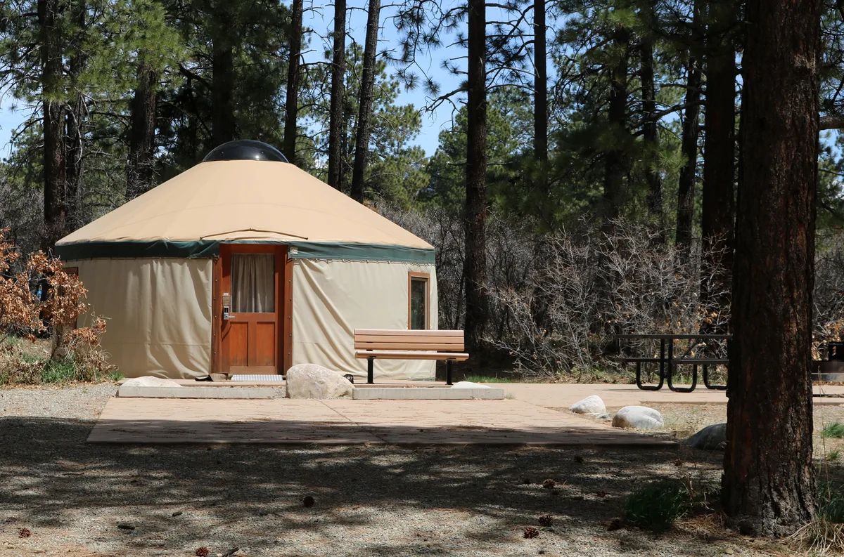 A tan yurt sits in a shady pine forest, with a wooden door, small side window, and a bench on a paved pad in front. Sunlight filters through the trees, casting dappled shadows across the campsite and surrounding gravel.