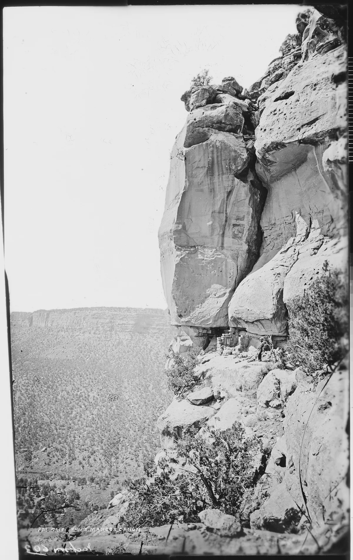 A sheer sandstone cliff fills the right side of the frame, with small cliff dwellings tucked into a ledge near the middle, while a wide canyon of dense, scrubby forest stretches into the distance on the left. Bright, washed-out light and the black-and-white tonal range emphasize the massive rock face and the steep drop below.
