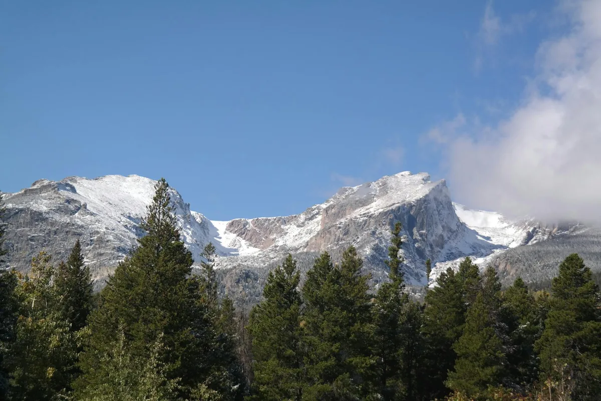 Snow-covered Rocky Mountain peaks rise above a dense line of dark green pines, with a broad blue sky and a patch of cloud drifting in from the right. The scene feels crisp and clear, with bright light highlighting the layered ridges and white winter snow.