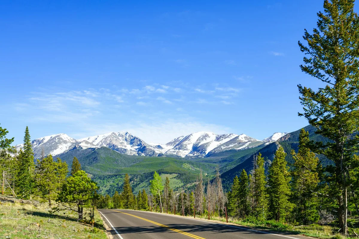 A curving mountain road leads into a sweeping view of snowcapped peaks and broad green valleys, framed by evergreen trees under a clear blue sky. The bright daylight highlights the layered ridgelines and alpine landscape below.
