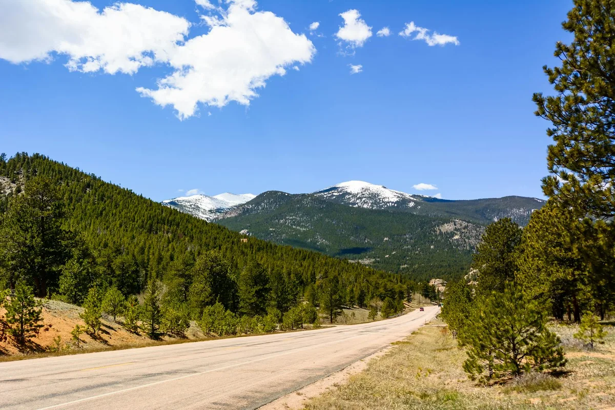Trail Ridge Road curves through a broad mountain valley lined with dense evergreen forests, leading the eye toward snowcapped peaks under a clear blue sky with a few bright clouds. The scene is lit by crisp daylight, with sunlit slopes and a wide open overlook feel.