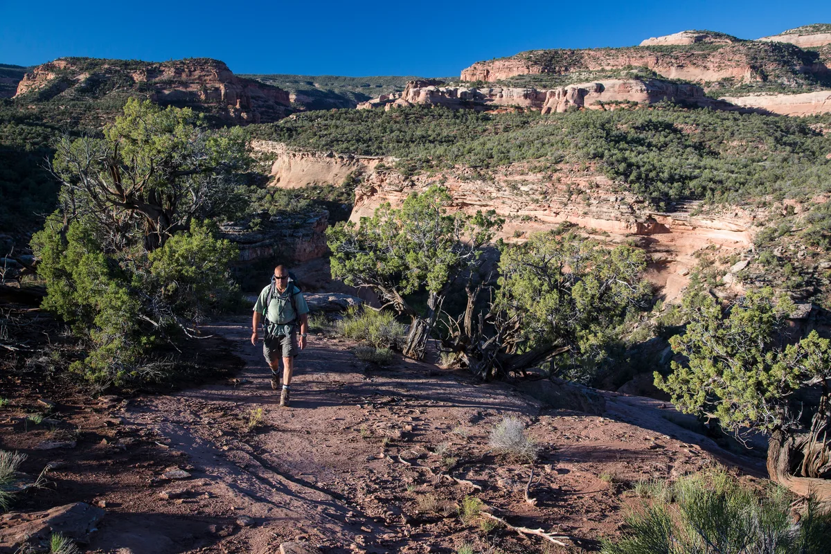 A hiker walks along a sunlit slickrock trail through low desert scrub, with layered red sandstone cliffs and mesas stretching across the background. The scene feels open and remote, under a clear blue afternoon sky.