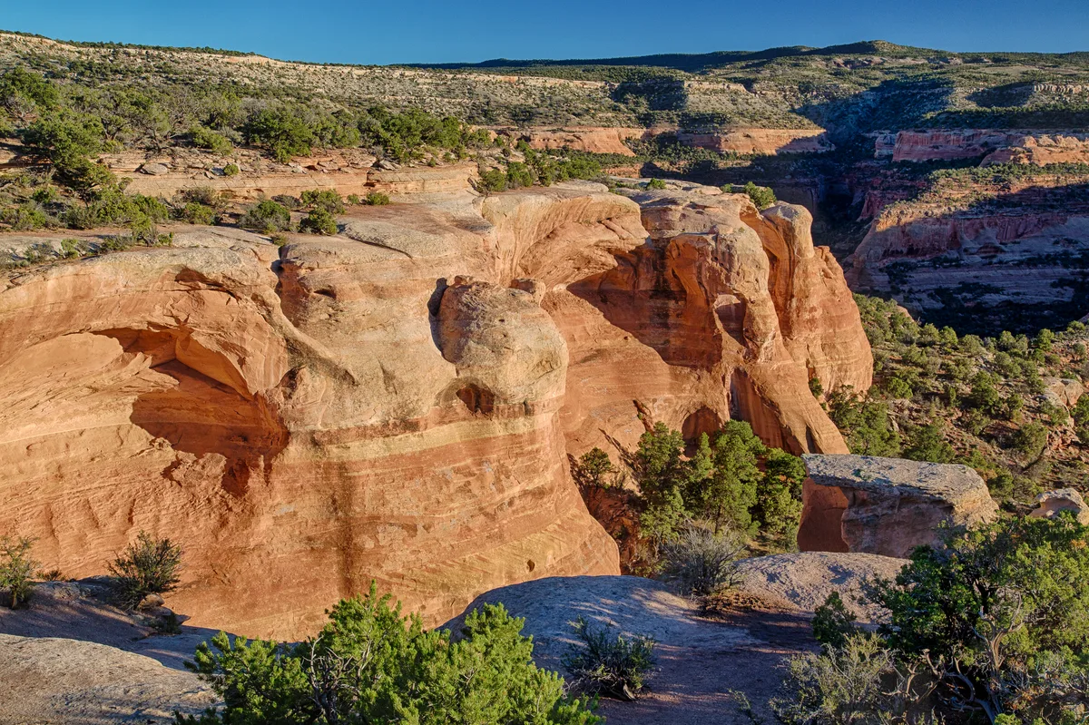 Sunlit red sandstone canyon walls and rounded ledges fill the frame, with green shrubs and juniper scattered across the rim and floor. In the distance, a narrow shadowed slot cuts through the layered cliffs under a clear blue sky.