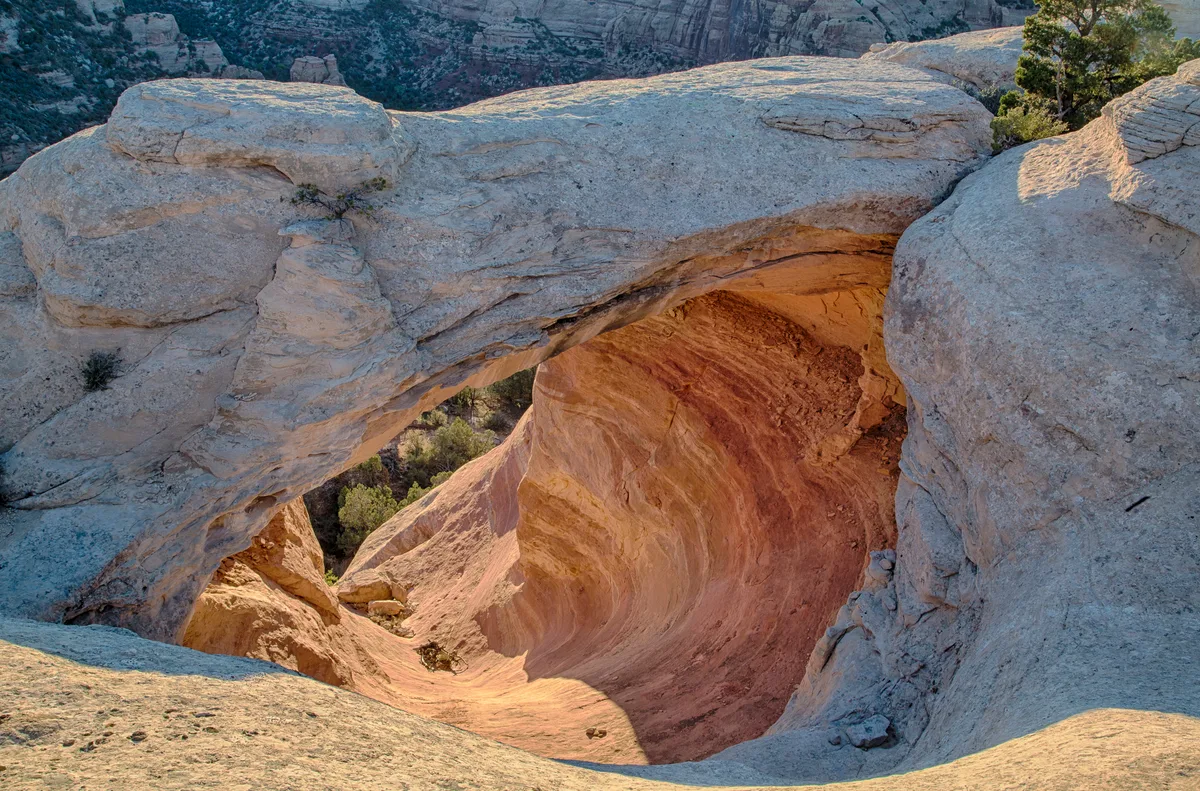 Sunlit Wingate sandstone forms a smooth, arched opening into a narrow canyon, with warm orange walls curving down into the shaded interior. Pale rock ledges frame the scene, and a few scattered shrubs and distant canyon slopes peek through in the background.