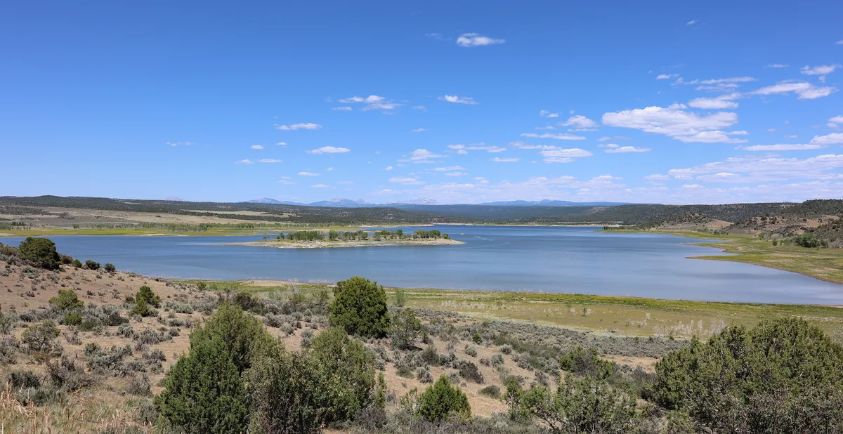 Wide view of McPhee Reservoir stretching across a dry, shrub-covered foreground, with a small tree-lined island near the center and low mesas around the shoreline. The calm blue water reflects the bright sky, and faint San Juan Mountains rise on the distant horizon.