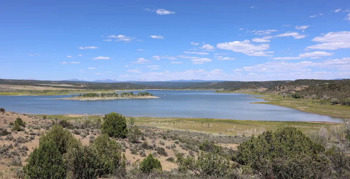 Wide view across McPhee Reservoir with calm blue water stretching through a dry, brushy shoreline and a small tree-covered island near the center. Low mesas and distant mountain peaks sit under a bright sky dotted with thin, scattered clouds.