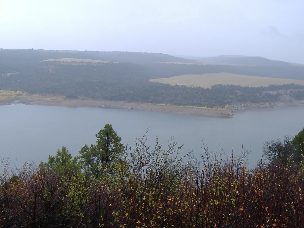 A misty view across McPhee Reservoir shows calm blue water below dark, wooded hills and pale, grassy mesas in the distance. Fall shrubs and a few pines frame the foreground, with the hazy light softening the layered landscape.