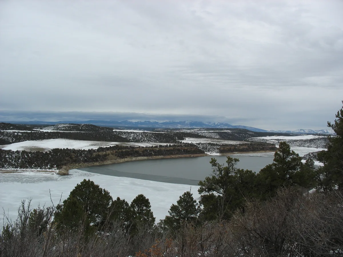 A wide winter view of McPhee Reservoir shows a curved, open stretch of dark water surrounded by frozen white shoreline and snow-dusted piñon-juniper hills. Evergreen trees and brush frame the foreground, with low mountains fading into a pale, overcast sky.