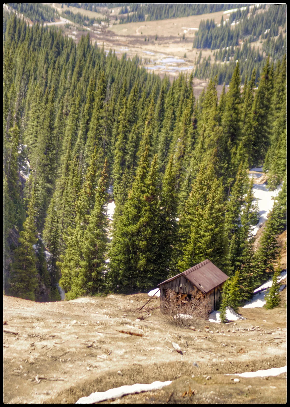 A steep alpine slope of dense evergreen forest drops into a narrow valley, with patches of lingering snow and a small weathered mining shed with a rusted roof in the lower right foreground. The sunlit scene feels quiet and rugged, with a pale meadow and distant wooded ridges beyond.