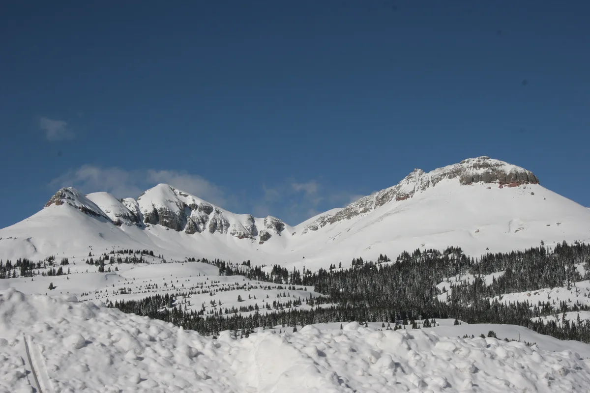 Snow-covered peaks of the Grenadier Range rise above dark evergreen slopes, with a plowed snowbank in the foreground and a clear deep-blue sky overhead. The wide alpine scene feels crisp and bright, with the mountains filling the frame.