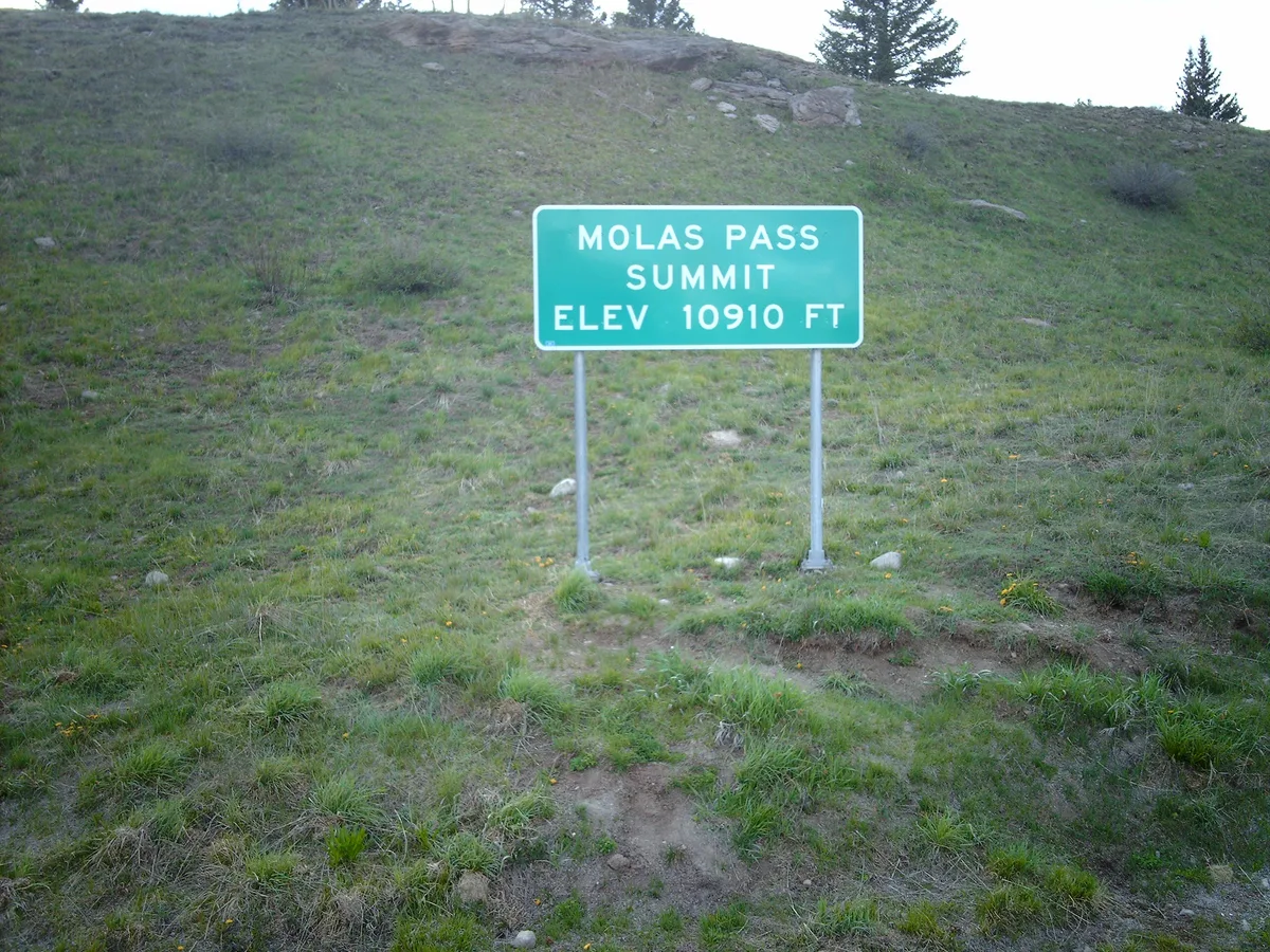 A green roadside sign reading “Molas Pass Summit Elev 10910 Ft” stands on a grassy alpine slope, with a few trees silhouetted along the ridge behind it. The scene is simple and open, showing the high mountain pass setting rather than a distant overlook view.