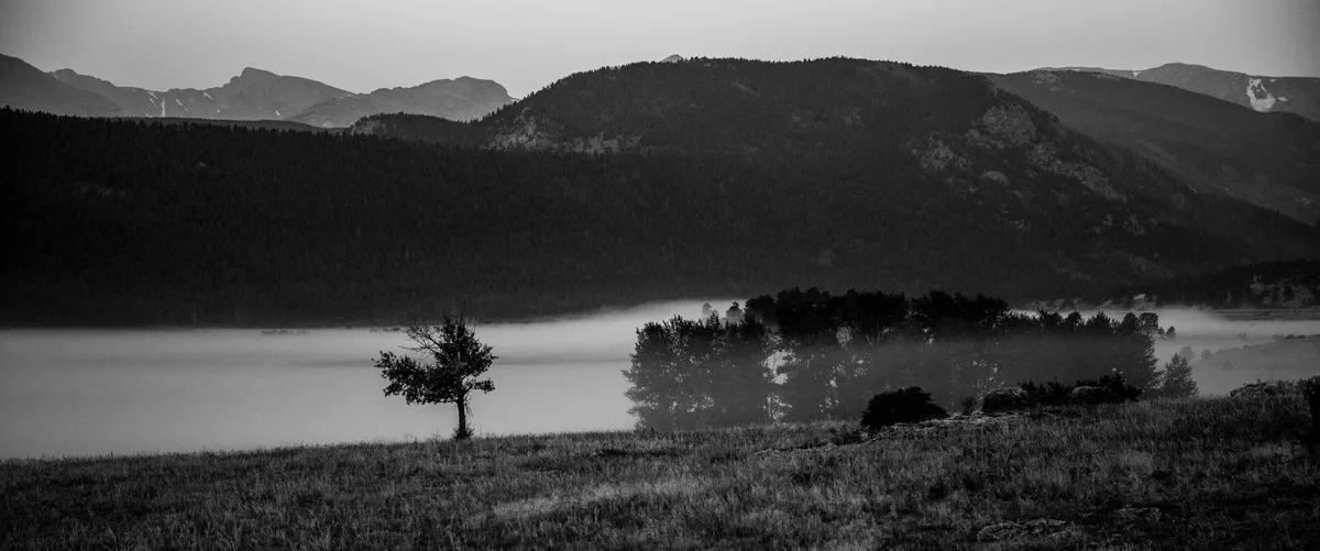 Low morning fog fills Moraine Park, with a lone tree and dark clumps of trees rising from the meadow in the foreground. Layered mountain ridges and faint snow patches recede into the distance under soft dawn light.