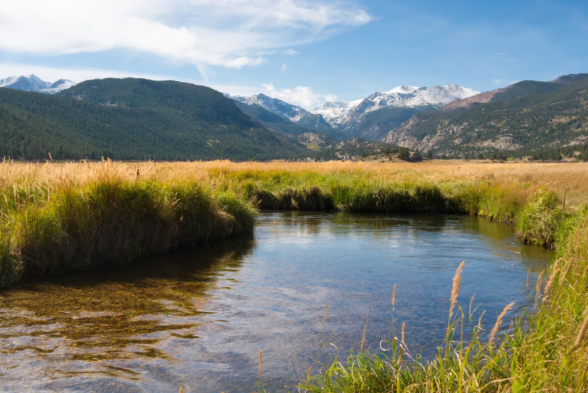 A clear mountain stream winds through a golden meadow, with tall grasses in the foreground and snow-dusted peaks rising in the distance under a bright blue sky. The warm light and open valley give the scene a calm, expansive feel.