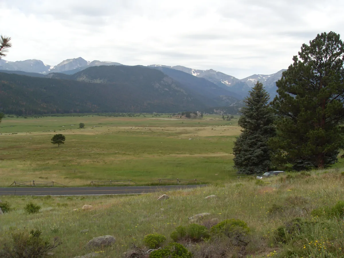 A wide view of Moraine Park shows a broad green meadow and the Big Thompson River valley stretching toward dark, snow-dusted mountains under a pale cloudy sky. Pines frame the right side, with a road and fence in the foreground and no elk visible in the scene.