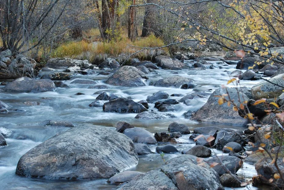 A rocky mountain stream rushes through Moraine Park, with smooth water curling around large gray boulders and banks lined with autumn grasses and bare branches. Golden leaves frame the right edge of the scene, adding a touch of fall color to the cool, shaded landscape.