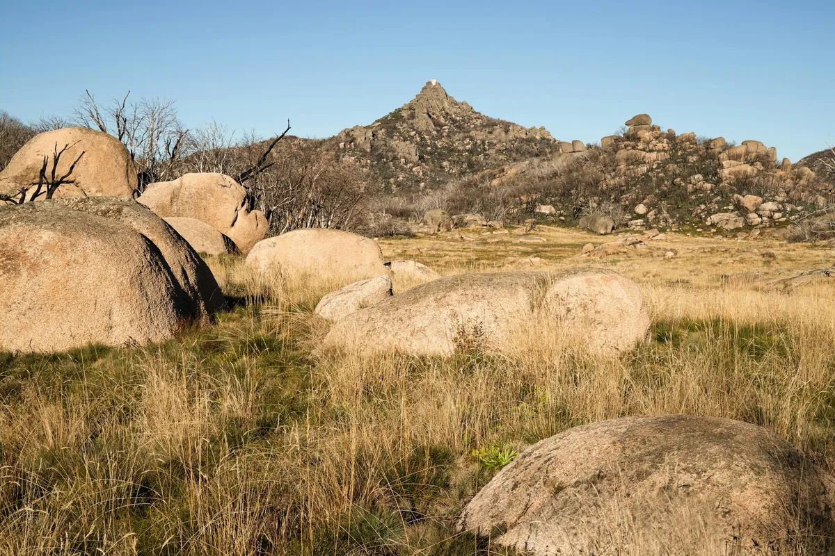Golden light warms a field of rounded quartzite boulders and dry grass, with Mount Sanitas rising sharply in the center background under a clear blue sky. Bare shrubs and rocky outcrops frame the summit view, giving the scene a rugged early-morning feel.