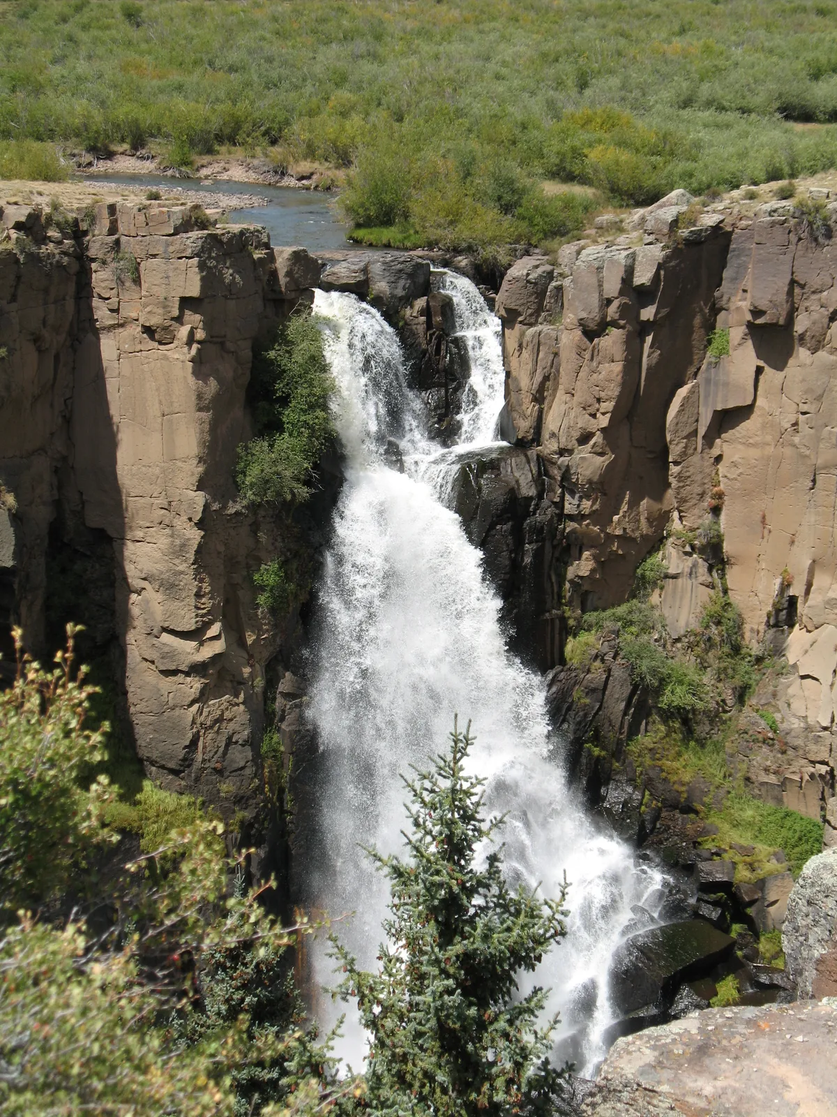 North Clear Creek Falls pours in a bright white curtain through a narrow rocky gorge, framed by sheer tan cliffs and patches of green shrubs. The creek winds quietly above the brink, and a spruce tree in the foreground partially obscures the lower drop.