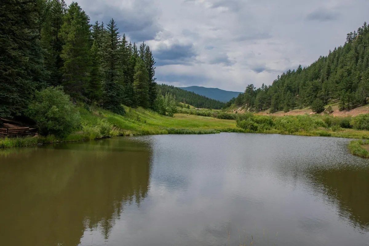 A calm beaver pond fills the foreground, reflecting a cloudy sky and the dark evergreen slopes on both sides. Grassy meadow edges and distant low mountains frame the water, giving the scene a quiet, roadside alpine feel.