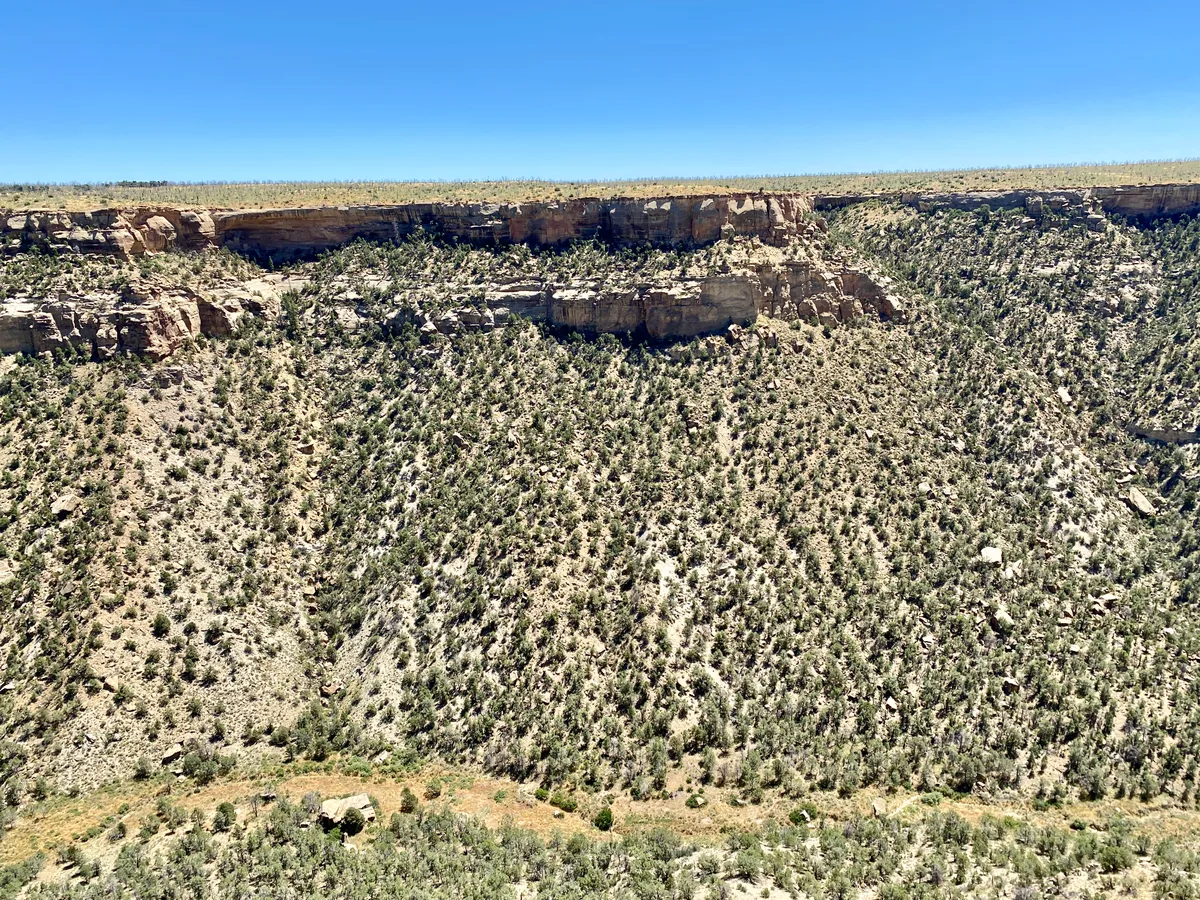 Steep, sunlit canyon walls drop away beneath a flat mesa rim under a clear blue sky, with layered sandstone cliffs and sparse scrub covering the slope. The wide view emphasizes the vast, rugged landscape and high desert terrain.