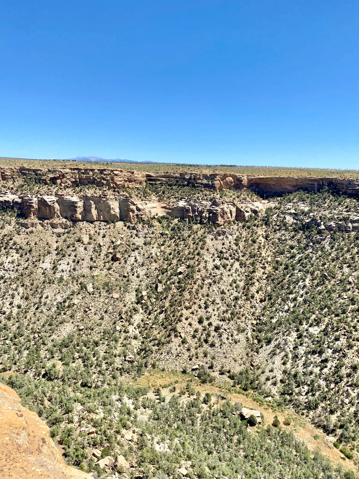 Sunlit mesa cliffs and a steep, sage-dotted canyon fill the frame beneath a cloudless blue sky, with the pale La Plata Mountains faintly visible on the horizon. The wide overlook view emphasizes layered sandstone walls, scattered pinyon-juniper trees, and the rugged high-desert terrain below.