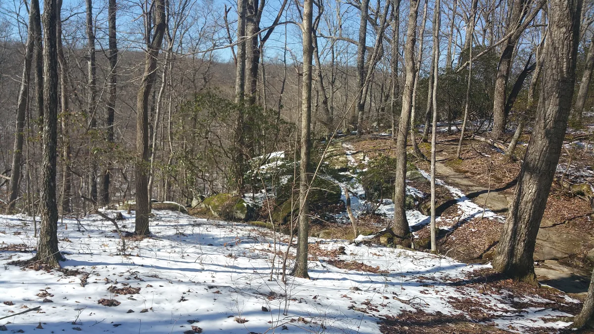 A wooded overlook in late winter shows leafless trees, patches of snow on the forest floor, and a rocky trail winding through the hillside. Soft sunlight highlights the bare trunks and mossy outcrops beneath a clear blue sky.