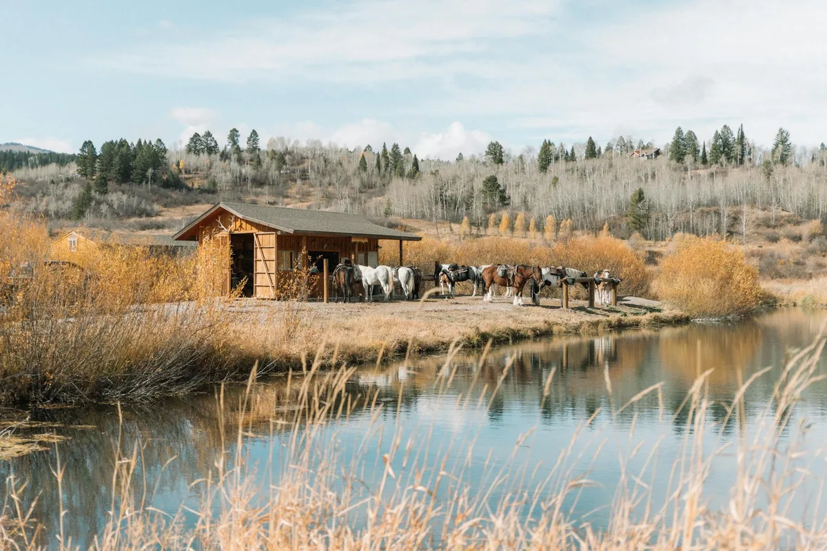 A calm alpine pond reflects a rustic wooden cabin and a line of saddled horses along the shore, with golden grasses in the foreground and pale aspens and evergreens climbing the hills behind. The soft autumn light gives the scene a quiet, remote feel.
