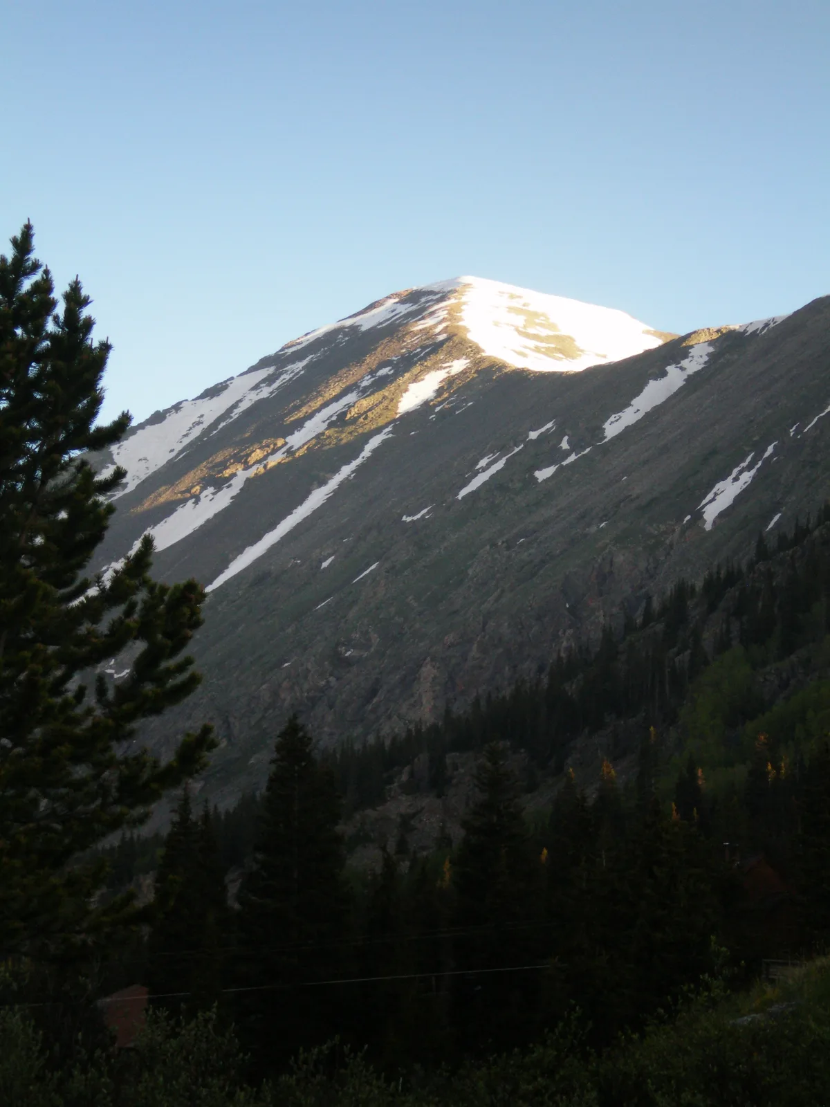 Morning light catches the snow-streaked summit of Quandary Peak against a clear blue sky, with dark alpine slopes dropping into a forested foreground. A pine tree frames the left edge, emphasizing the steep, rugged mountain face.