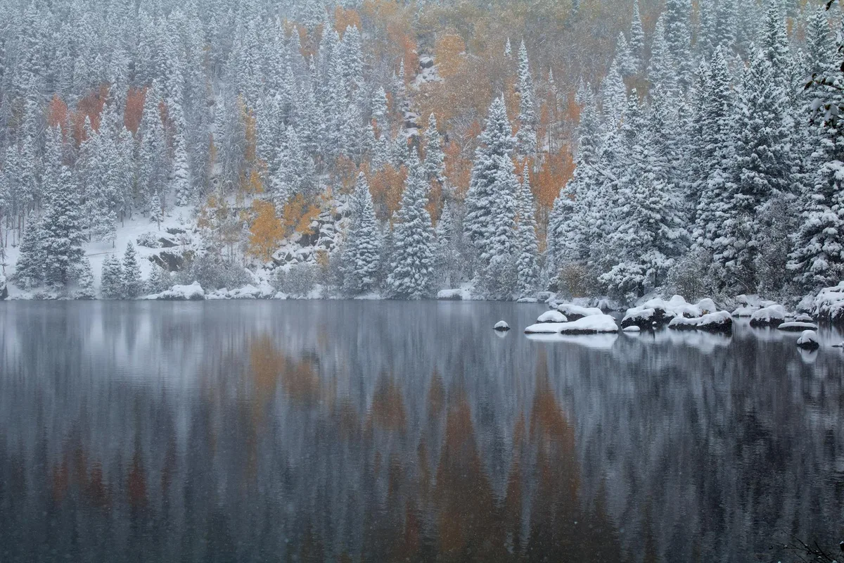 A calm alpine lake mirrors snow-laden evergreens and a few orange-gold aspens along the far shore. Light snow dusts the rocks and trees, giving the scene a quiet early-winter feel.