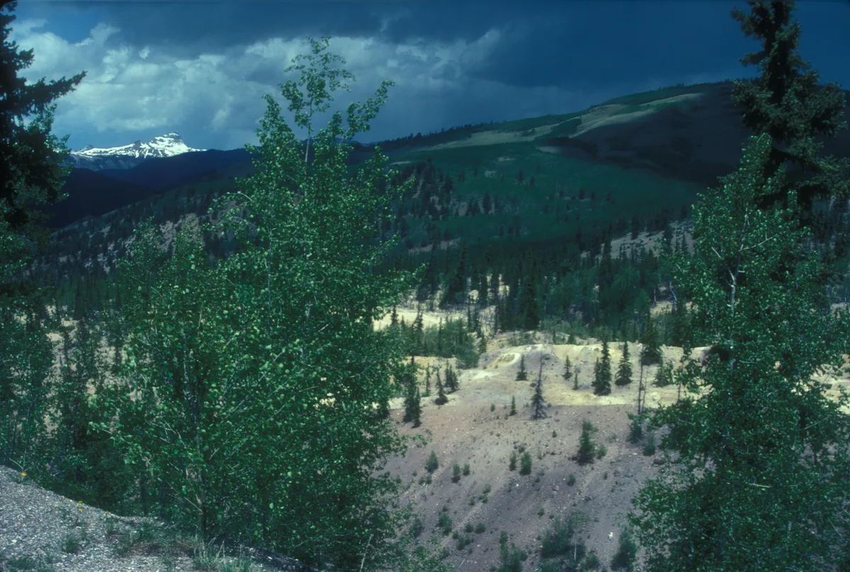 Slumgullion Pass and Earthflow