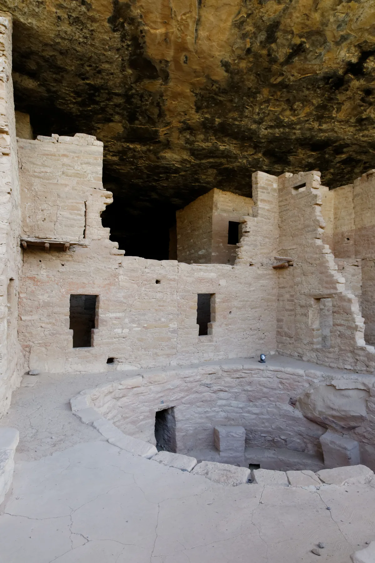 Sunlit pale sandstone rooms of Spruce Tree House rise beneath a dark, weathered cliff overhang, with rectangular doorways and crumbling walls framing the ancient dwelling. The foreground shows a circular kiva cut into the floor, emphasizing the depth of the alcove and the site’s preserved archaeology.